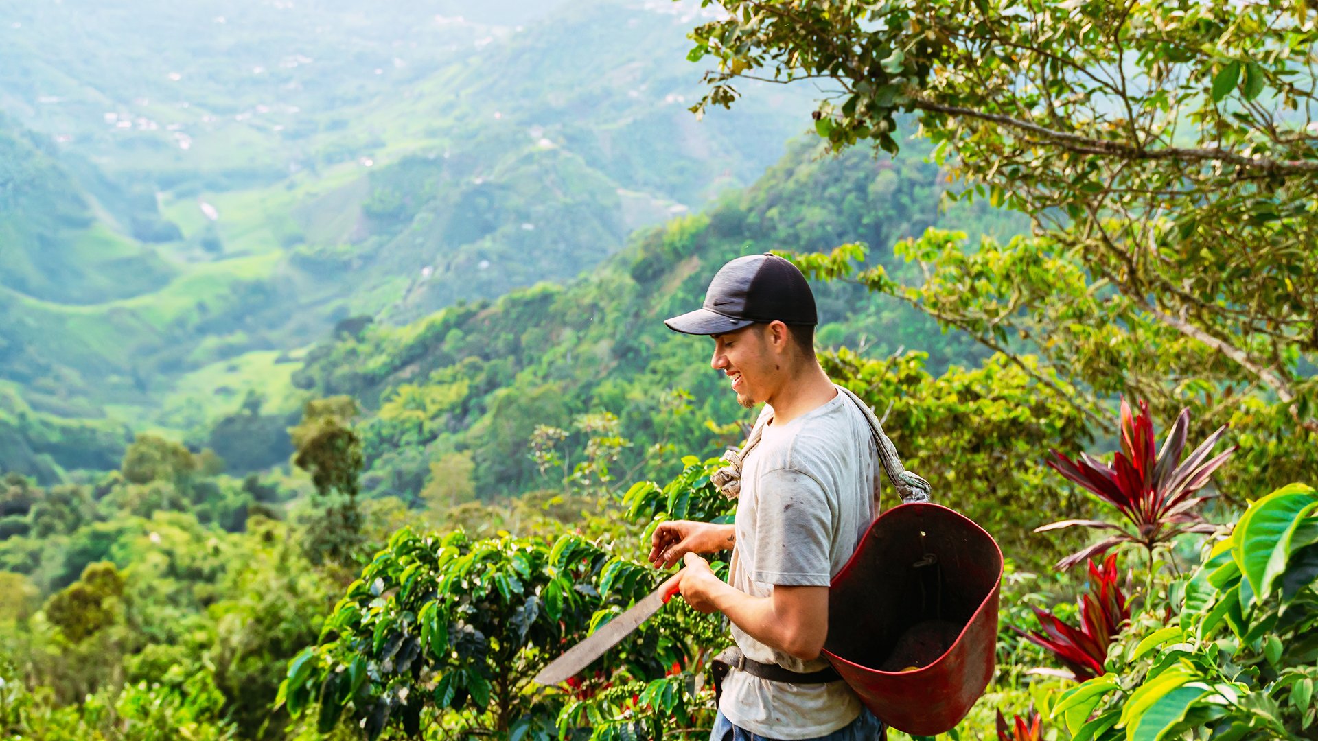 zwiedzanie plantacji kawy