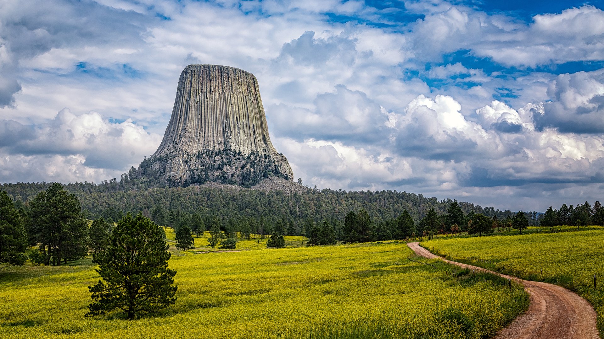 Devils Tower