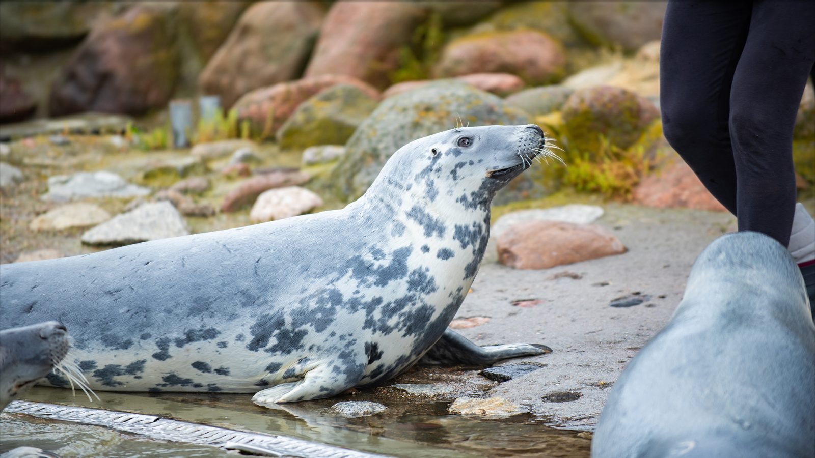 ferie-pomorskie-galeria-1