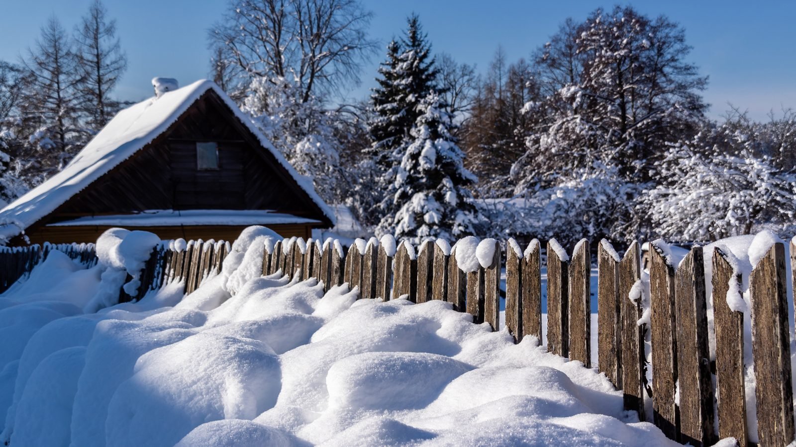 Ośnieżona wieś na Podlasiu