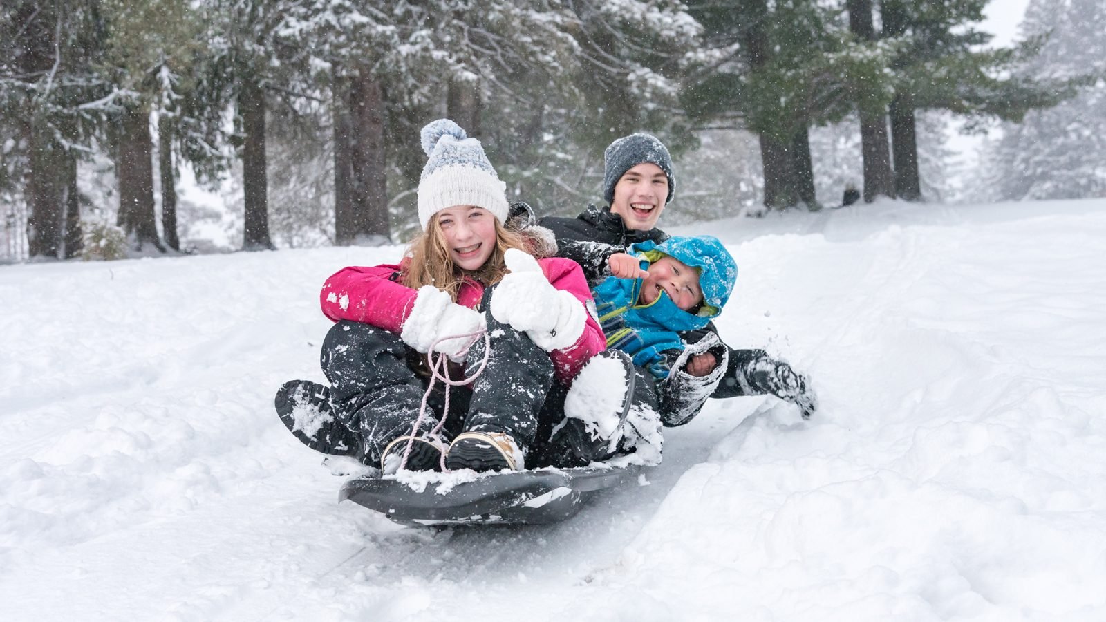 Troje dzieci na sankach