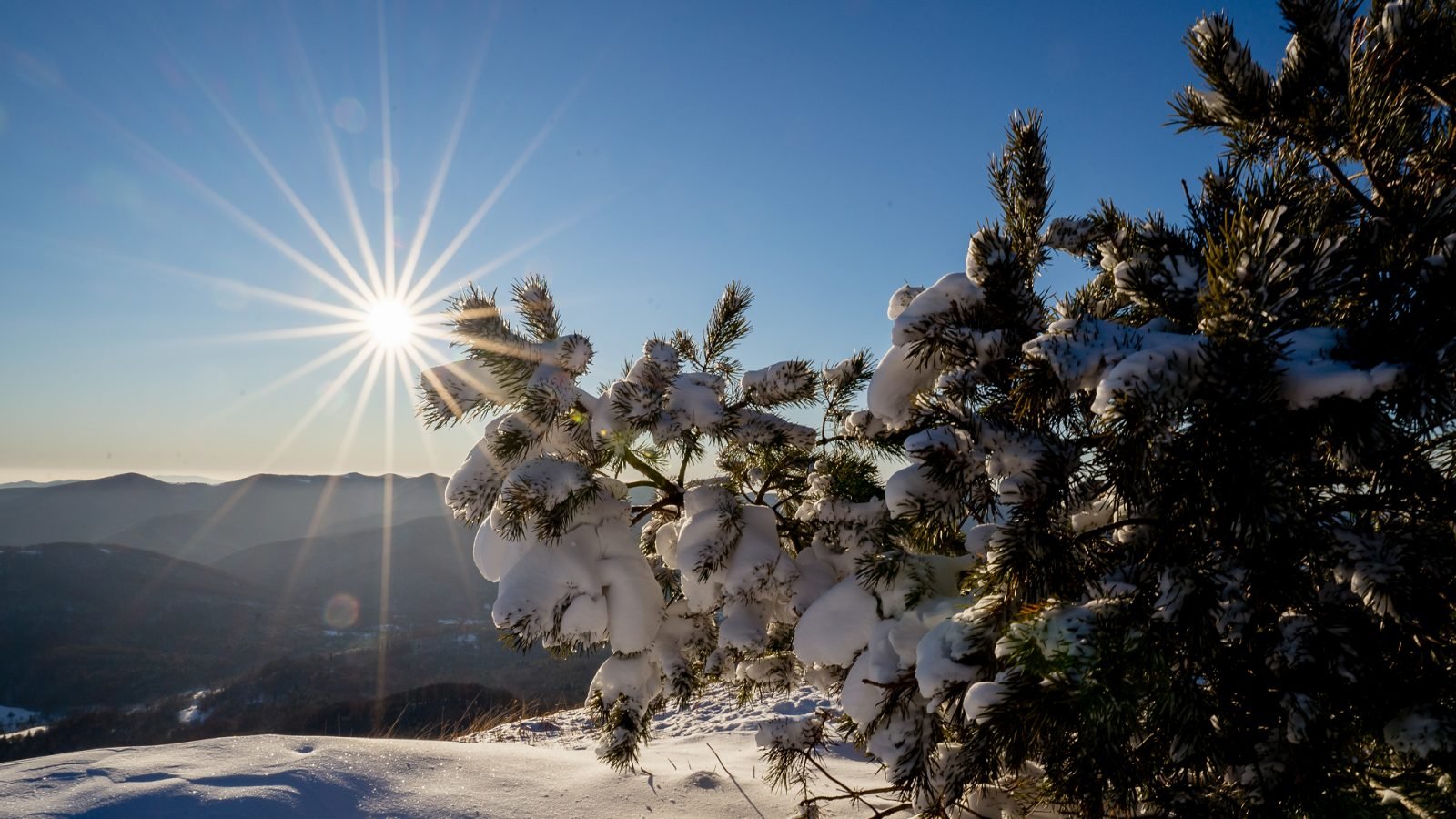 Bieszczadzki Park Narodowy zimą