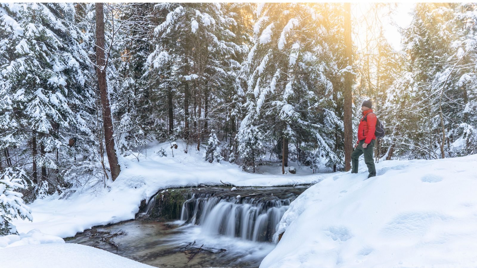 Roztoczański Park Narodowy zimą