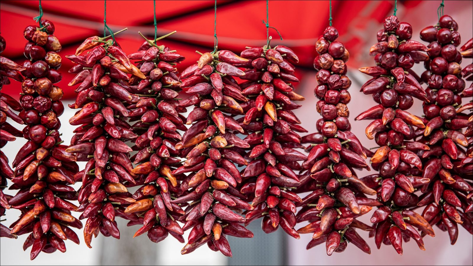 Pęczek suszonych papryczek chili

