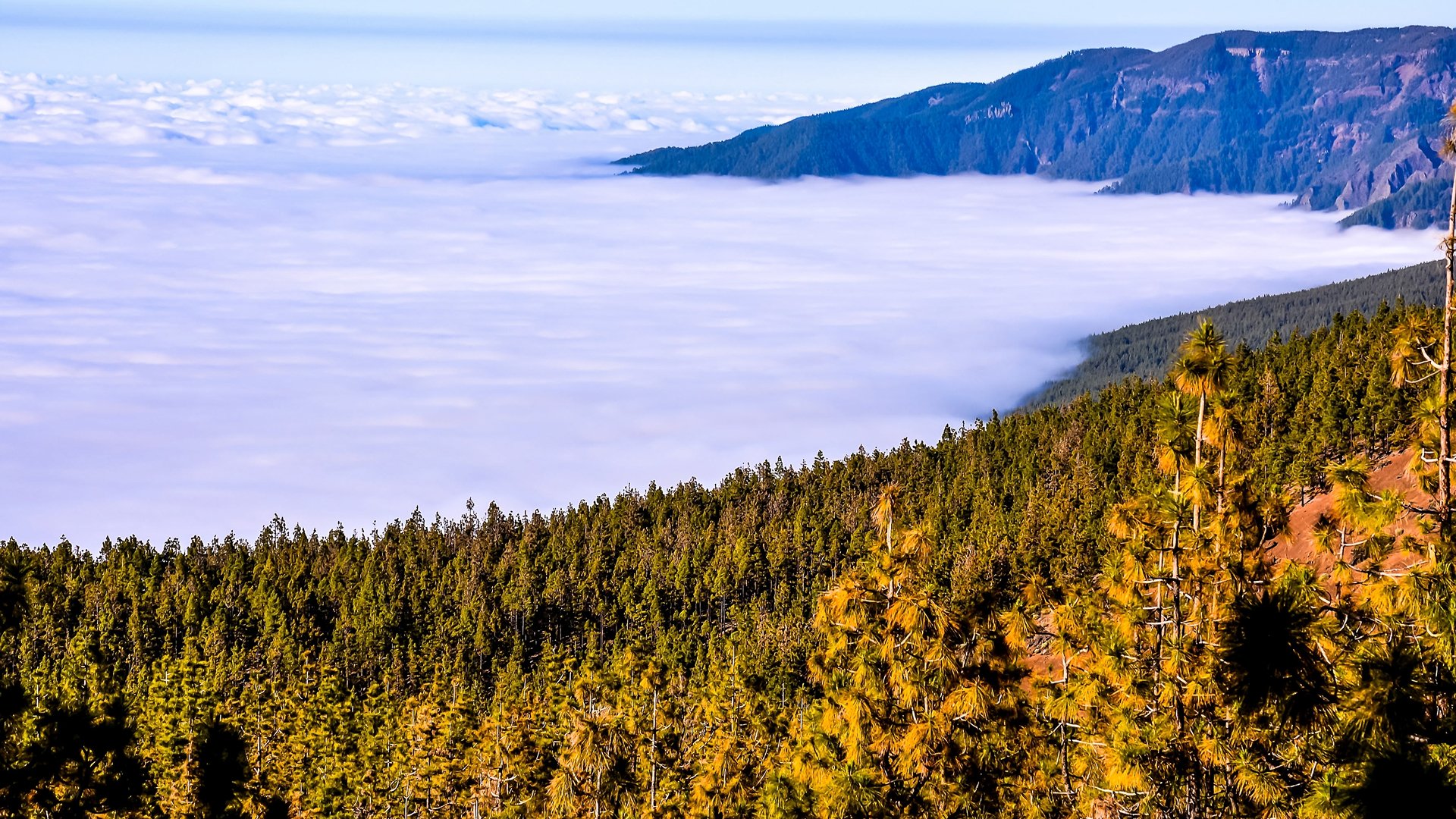 Mar de nubes