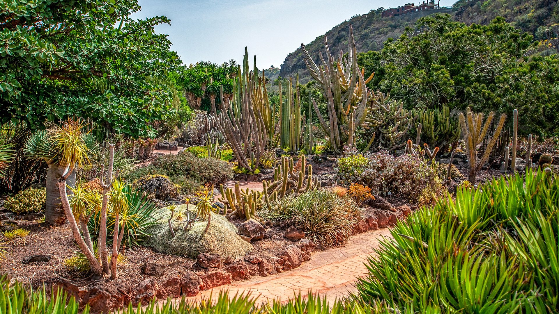 Gran Canaria