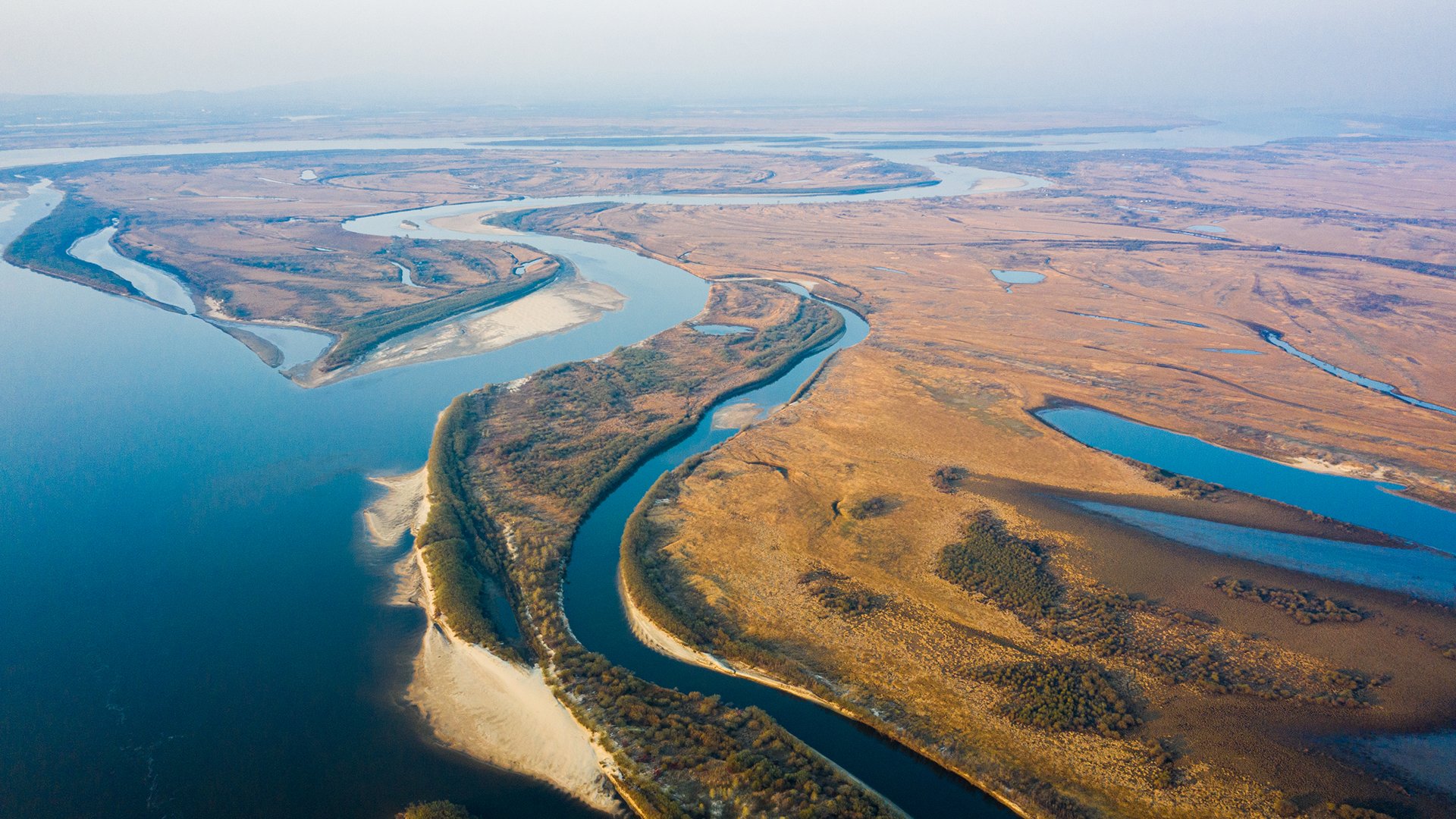 Amur