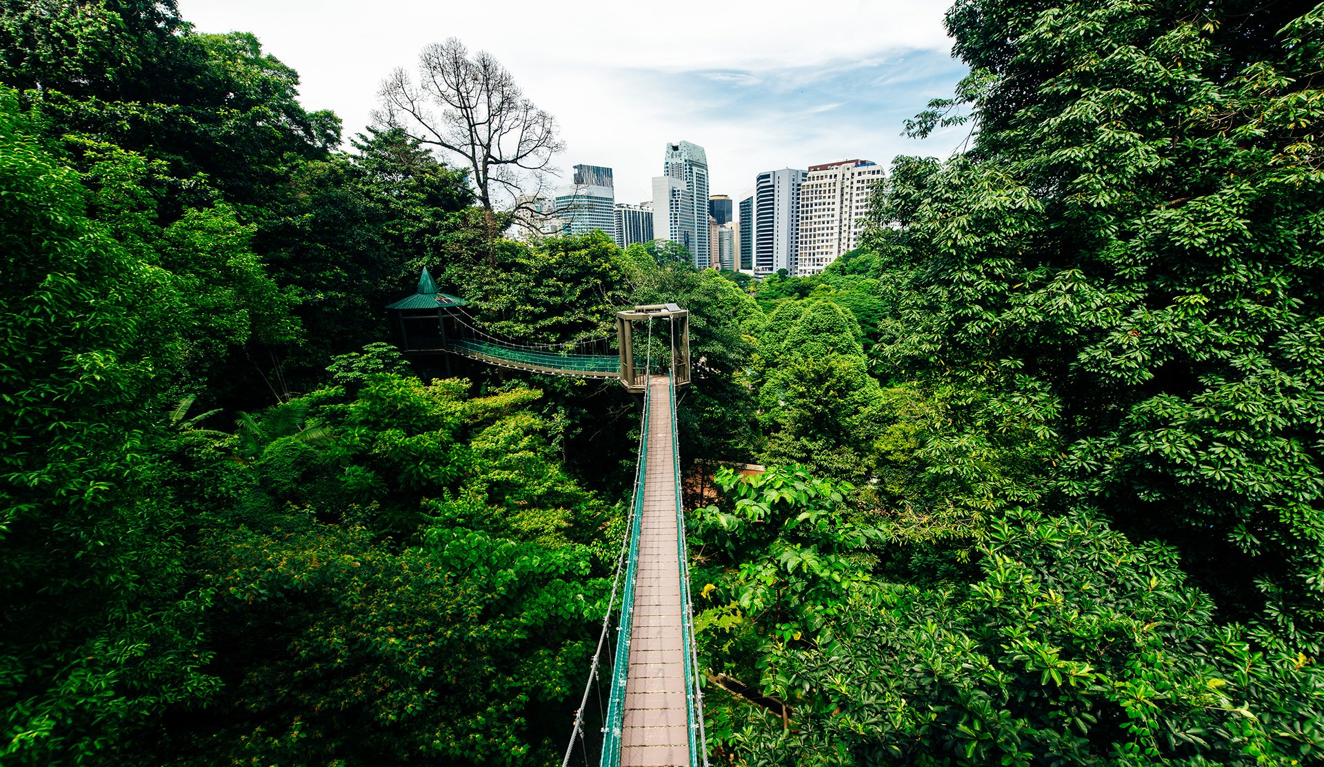 Kuala Lumpur Forest Eco Park