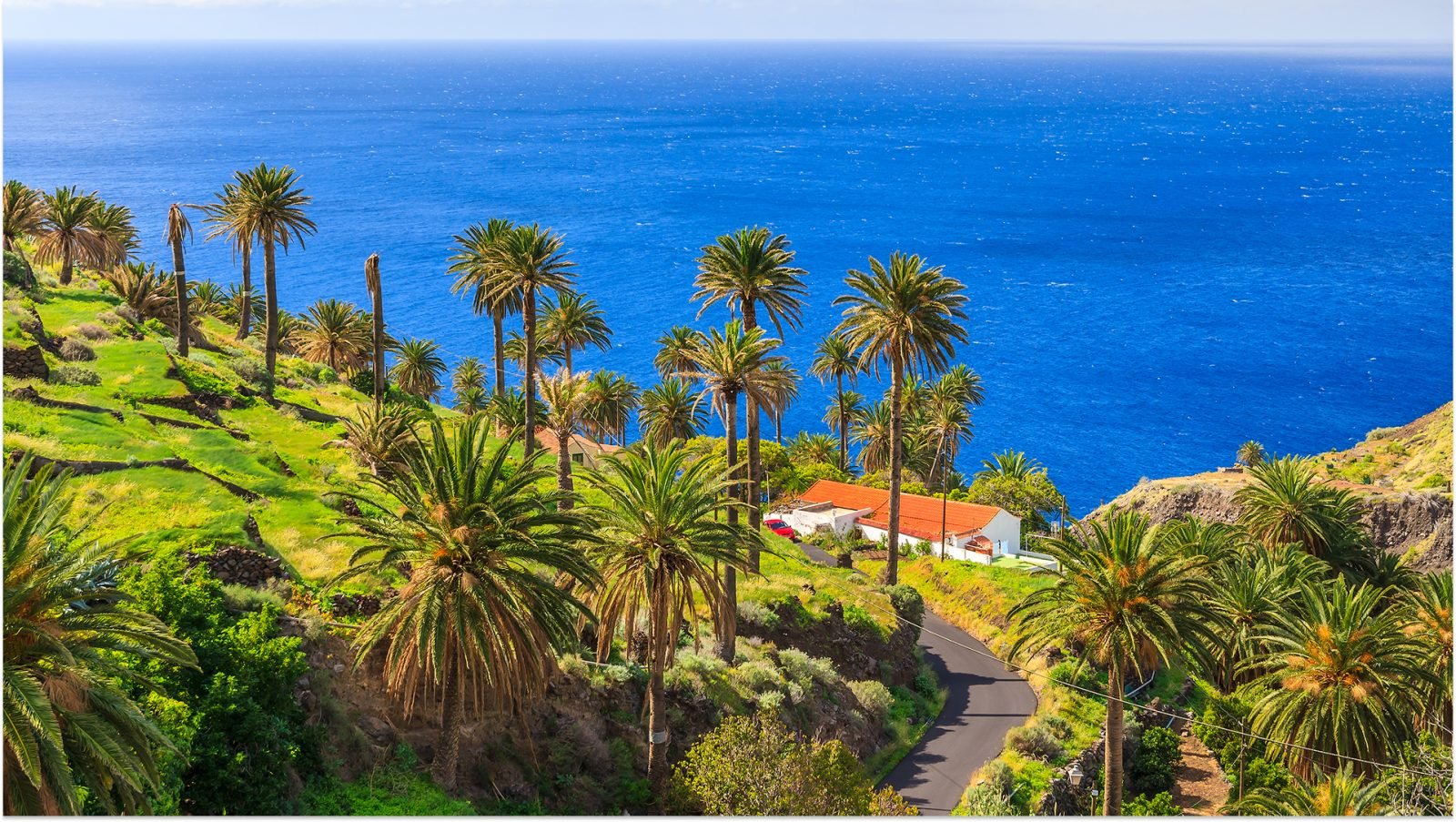 Palmy z wodą morską w tle w tropikalnym krajobrazie wyspy La Gomera w górskiej wiosce Taguluche, Wyspy Kanaryjskie, Hiszpania