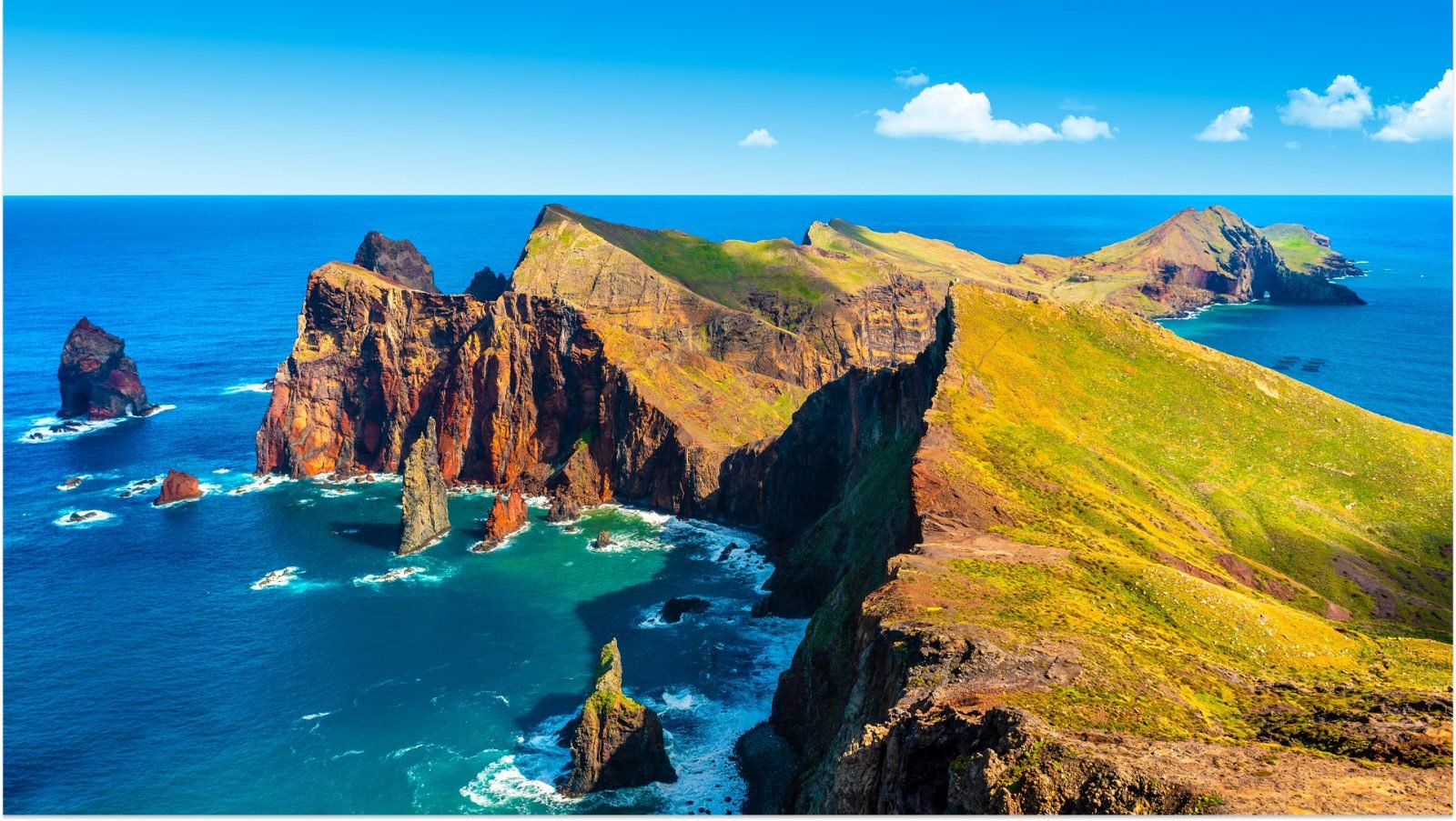 Zielone klify na Maderze