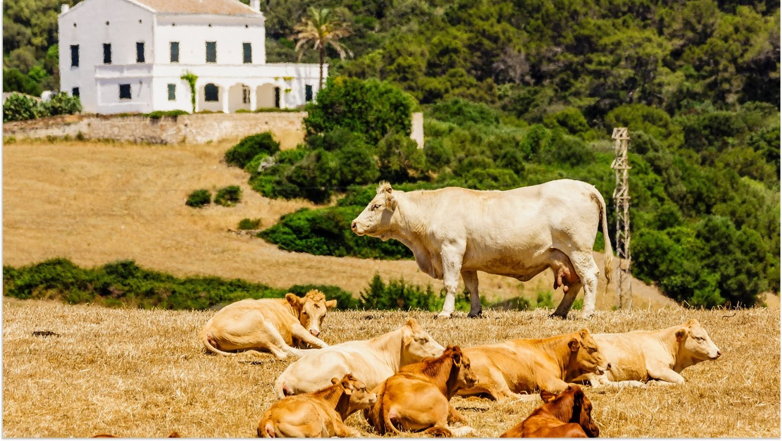 minorka-co-zobaczyc-na-wyspie-balearow-galeria-2