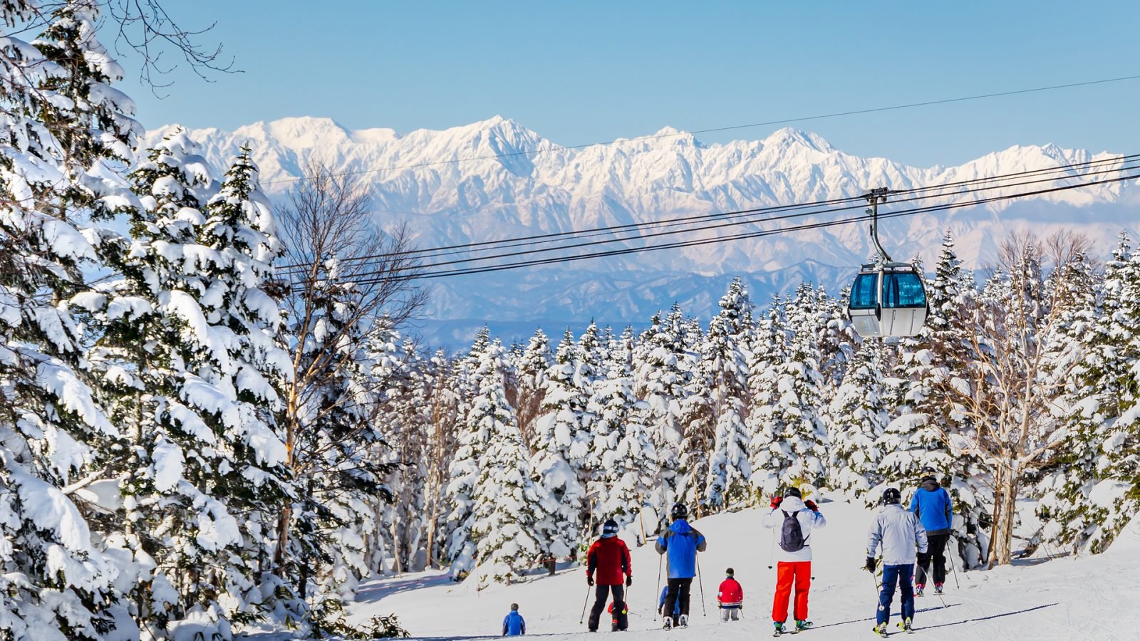 Ośrodek narciarski Shiga Kogen, Japonia – tło przyrodnicze i sportowe, słoneczny dzień, ośnieżone sosny