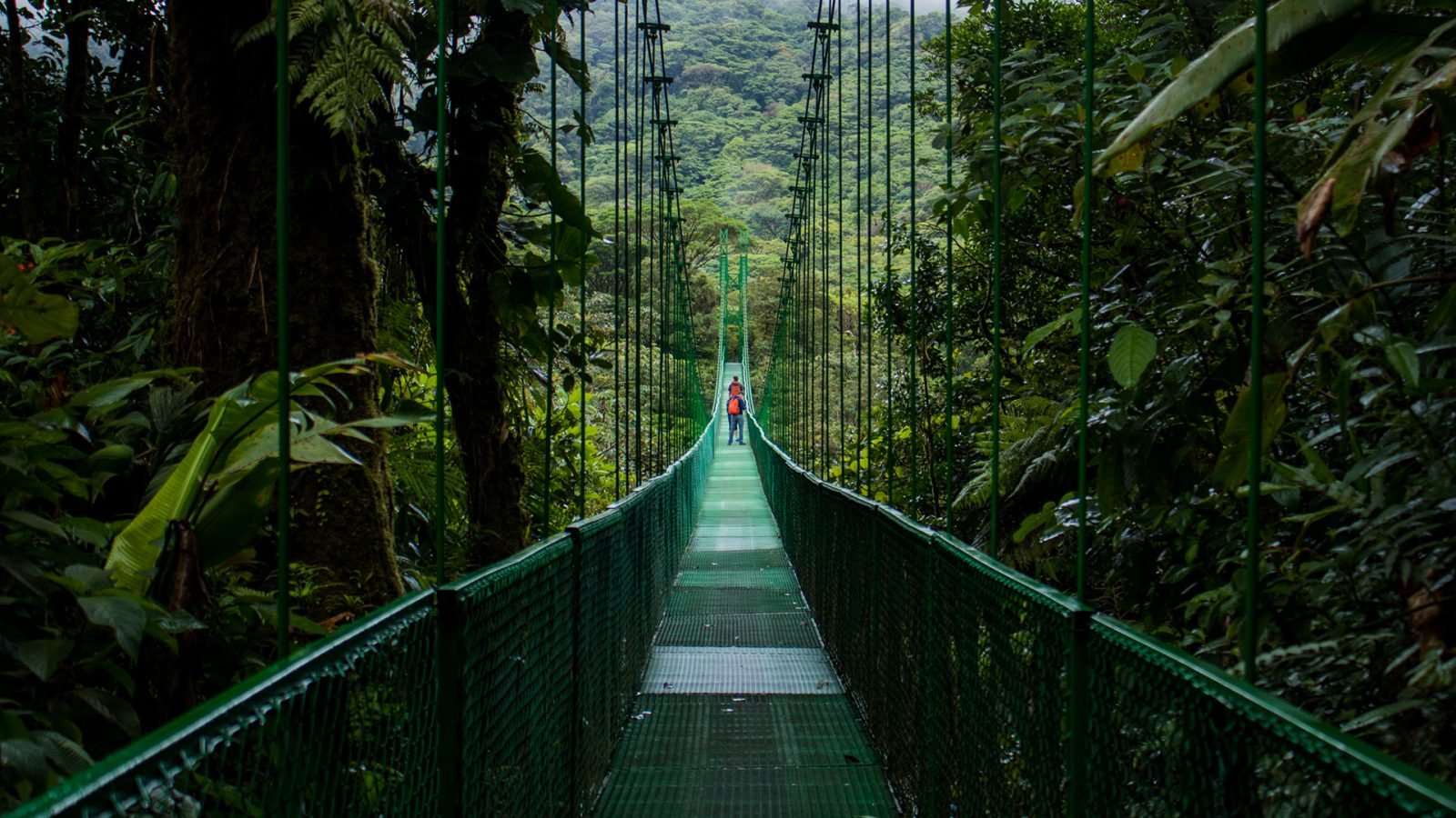 Most wiszący w Monteverde.