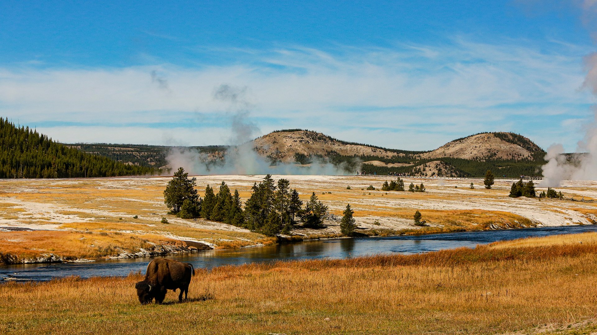 Yellowstone 
