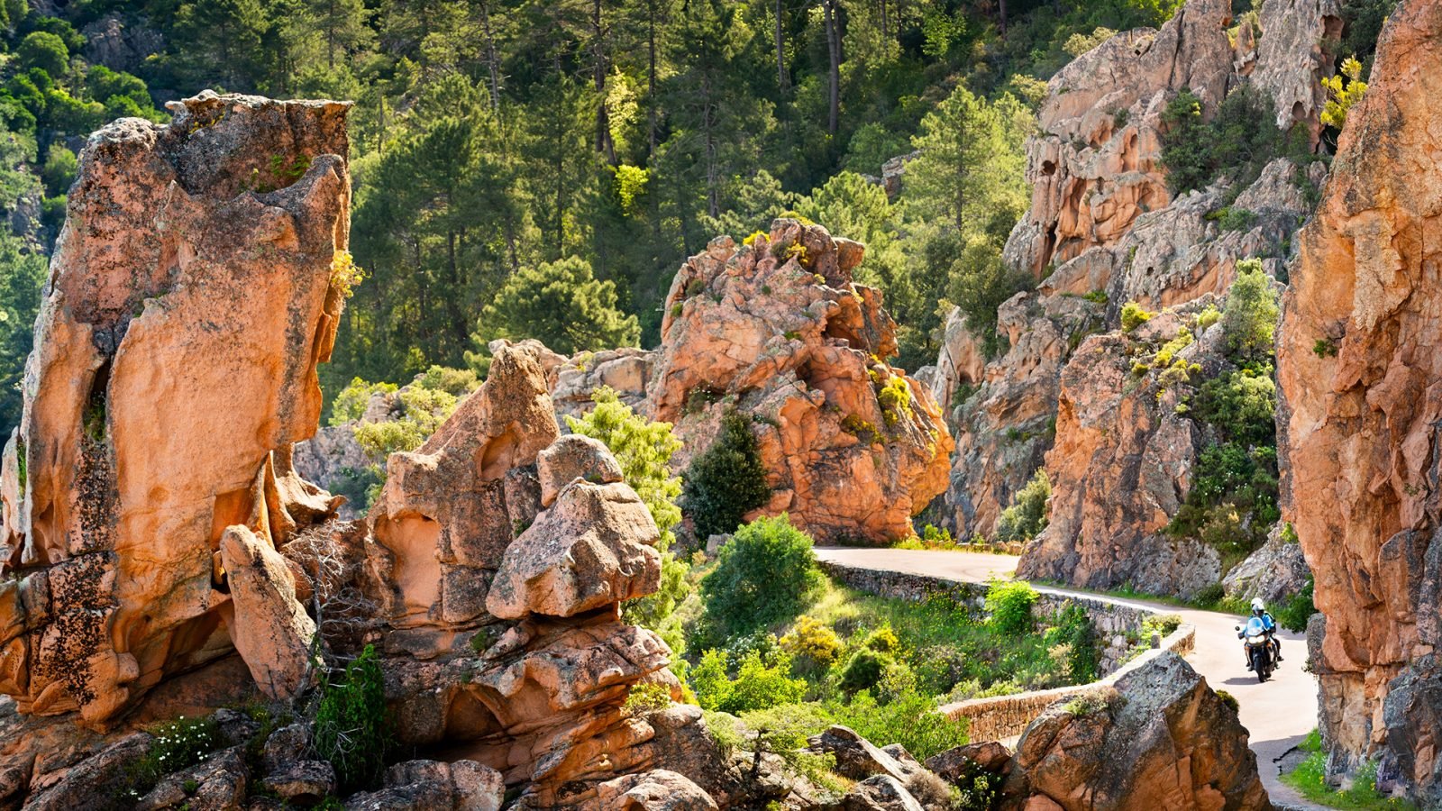 Motocyklista na drodze wśród skał Calanche de Piana, Les Calanques de Piana na Korsyce, Francja