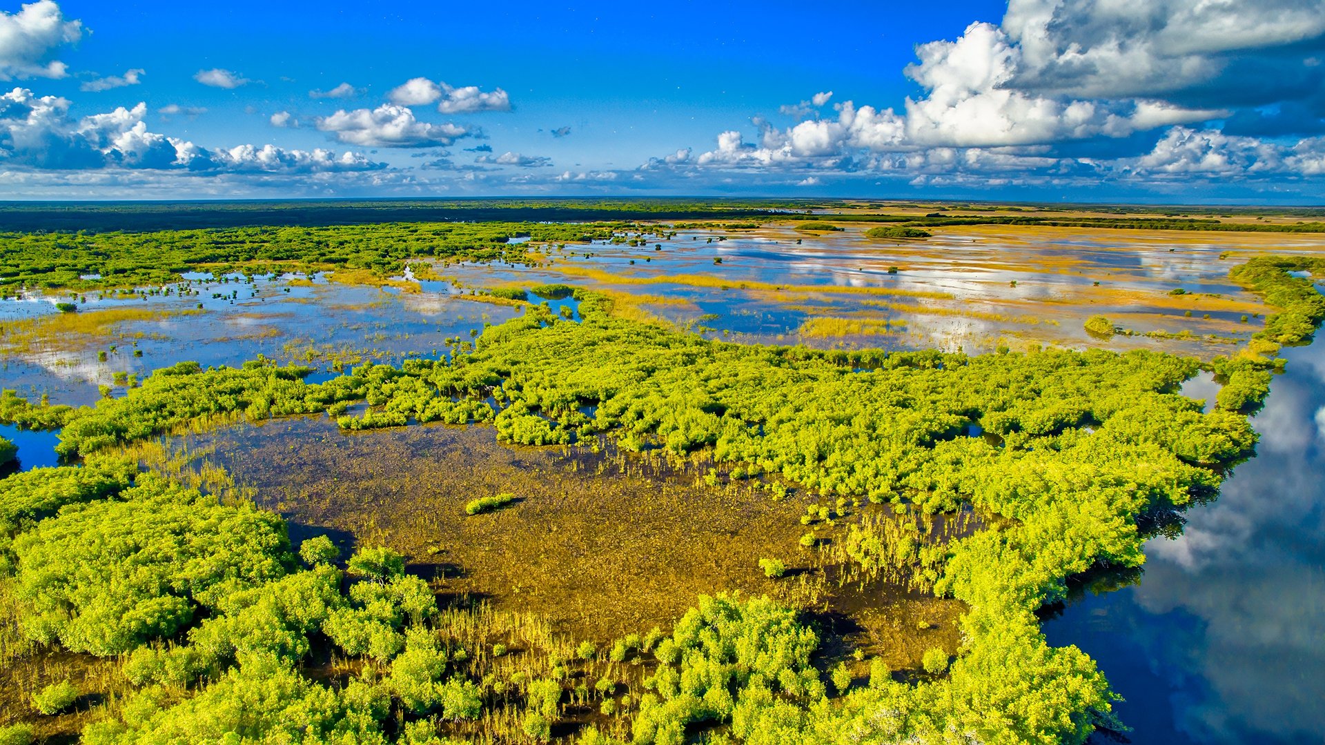 Park Narodowy Everglades 