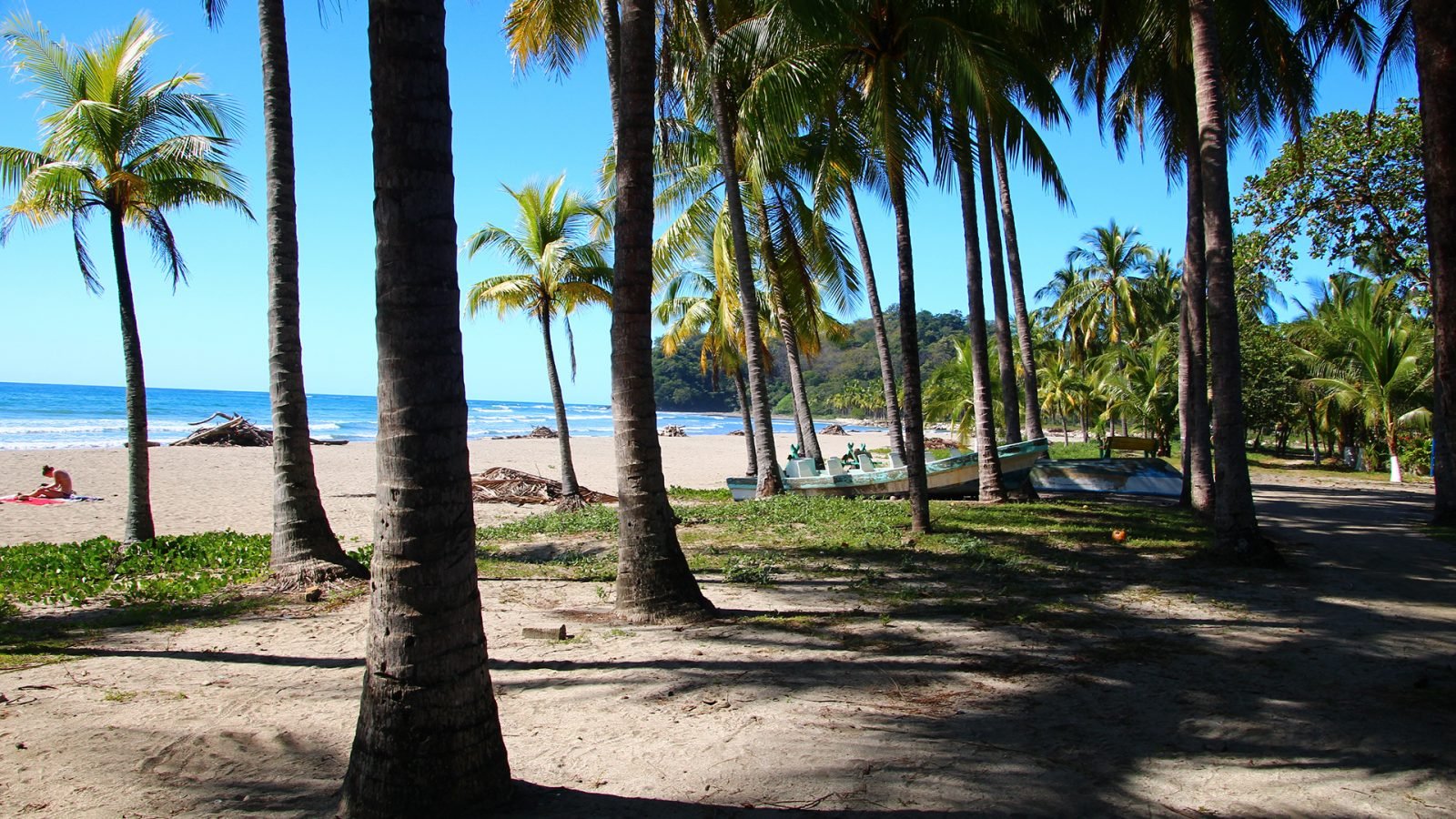 Playa Samara, Półwysep Nicoya, Kostaryka.

