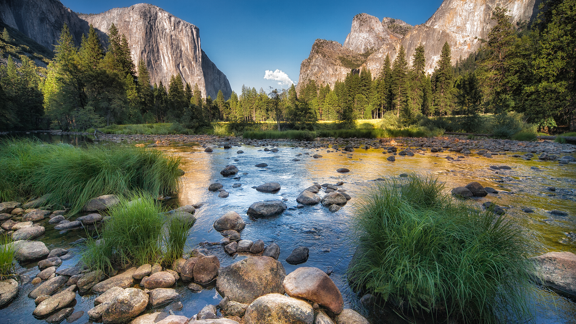 Park Narodowy Yosemite 