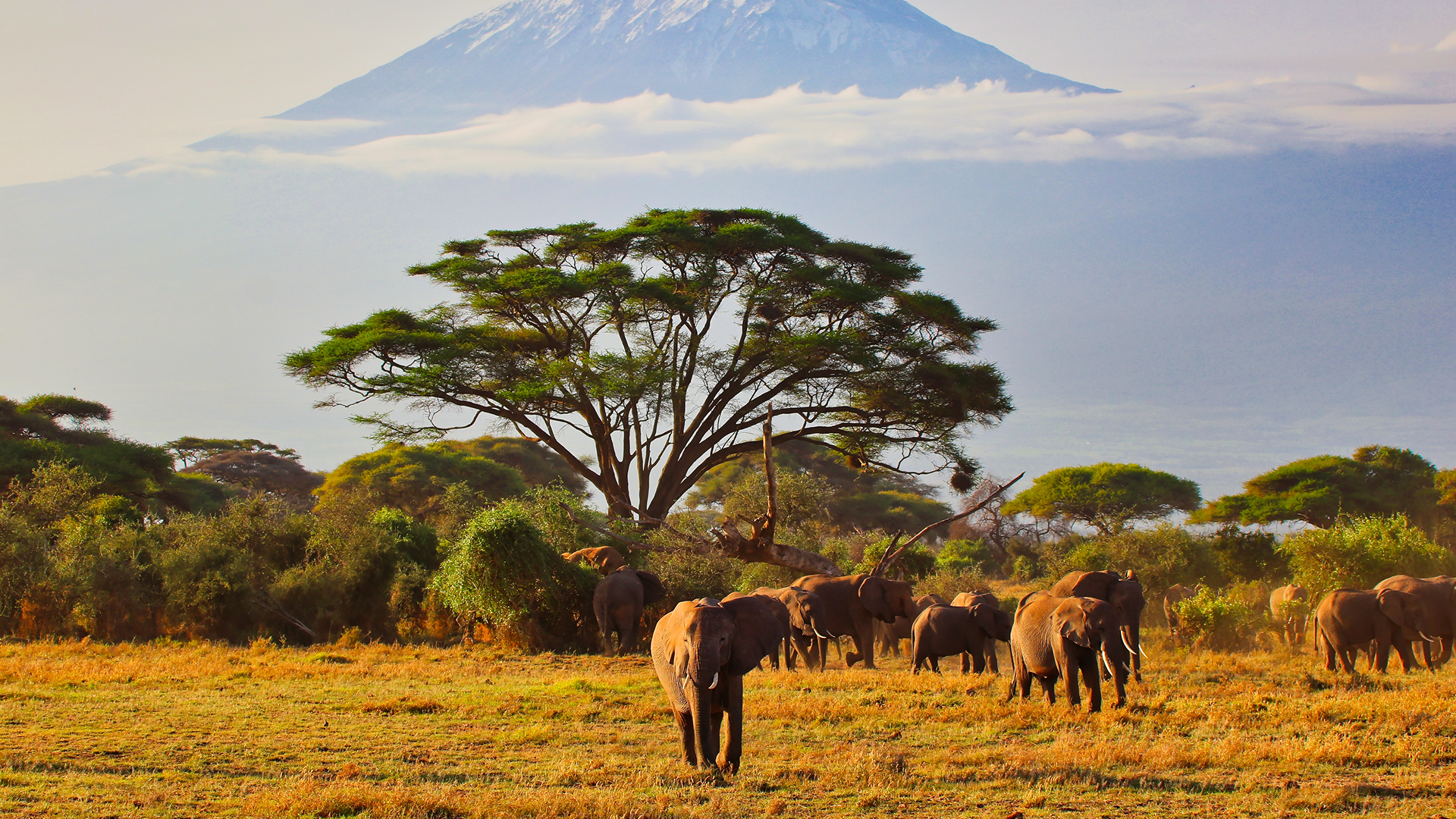 Kenia