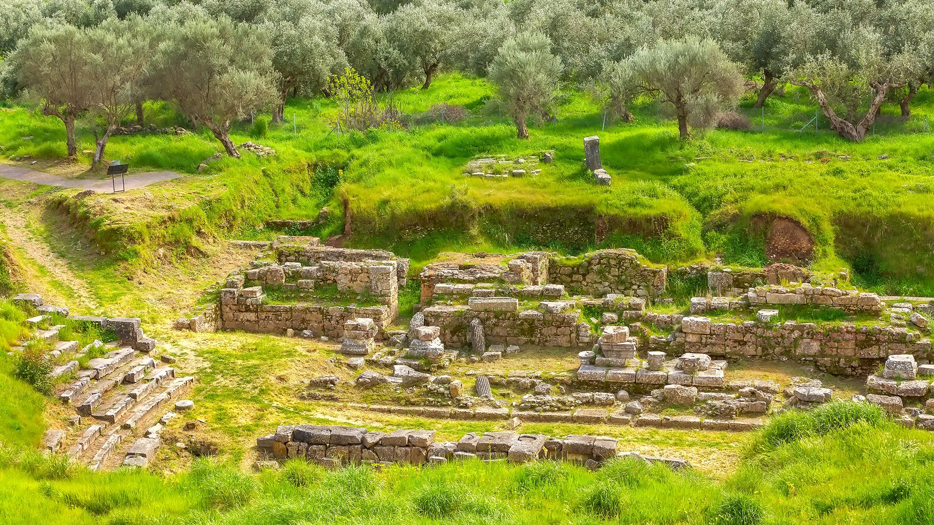sparta