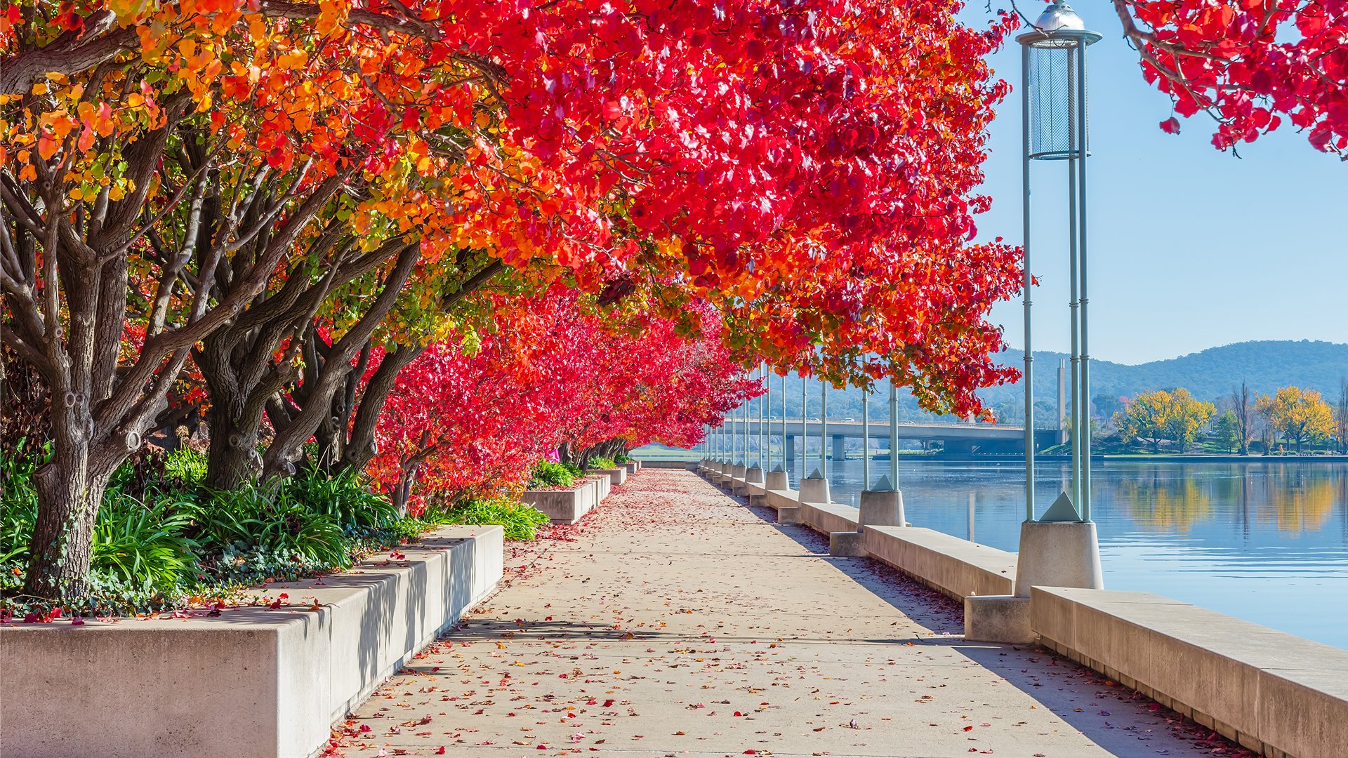 Burley Griffin
