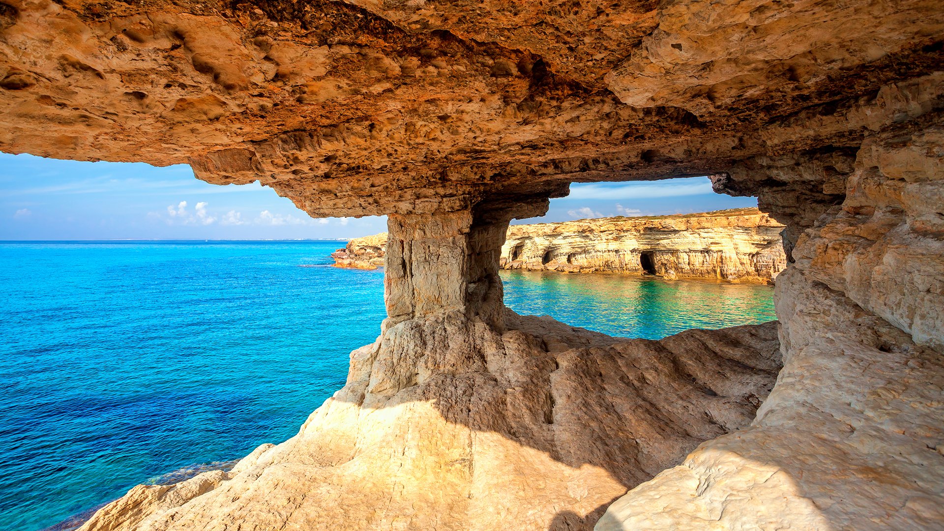 Cape Greko