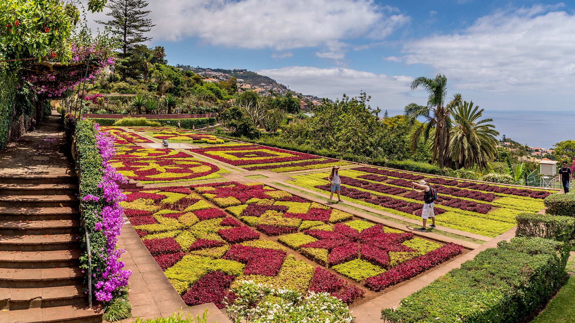 Ogród Botaniczny w Funchal