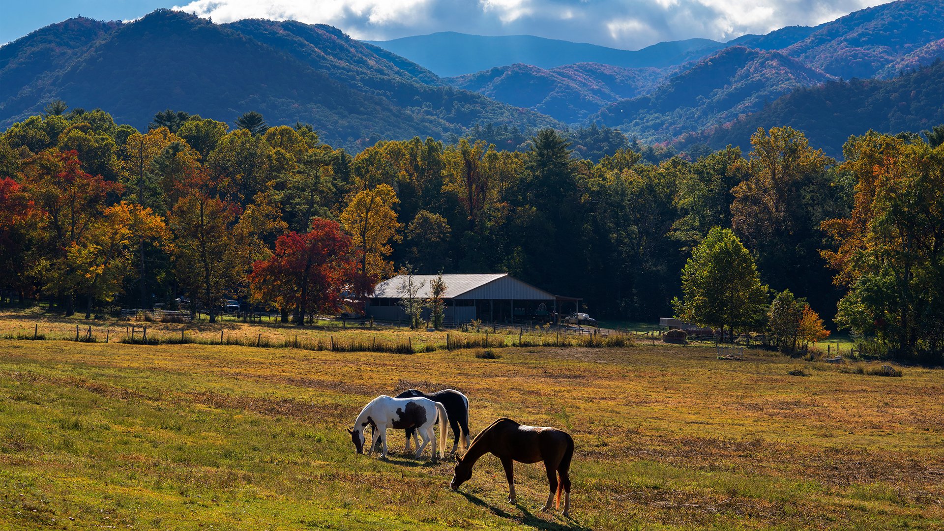 Park Narodowy Great Smoky Mountains 