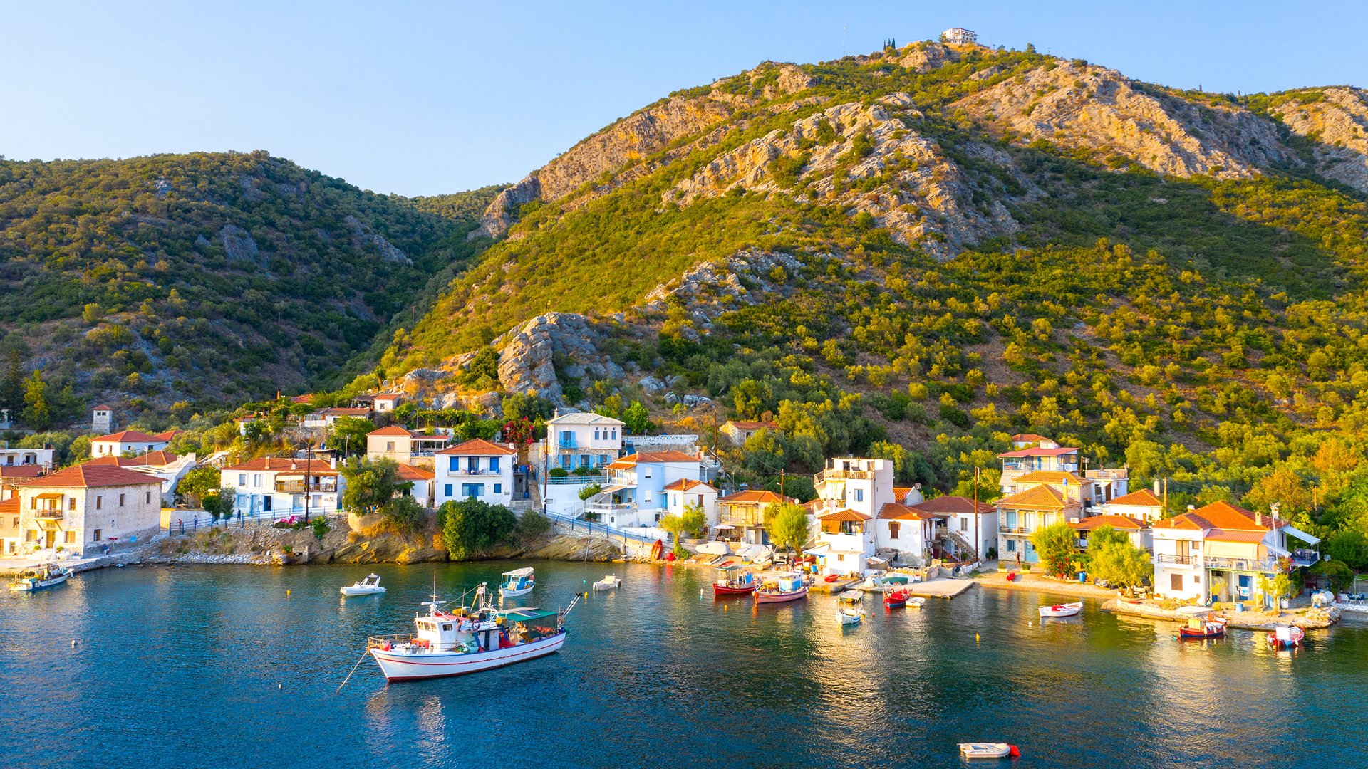 pelion