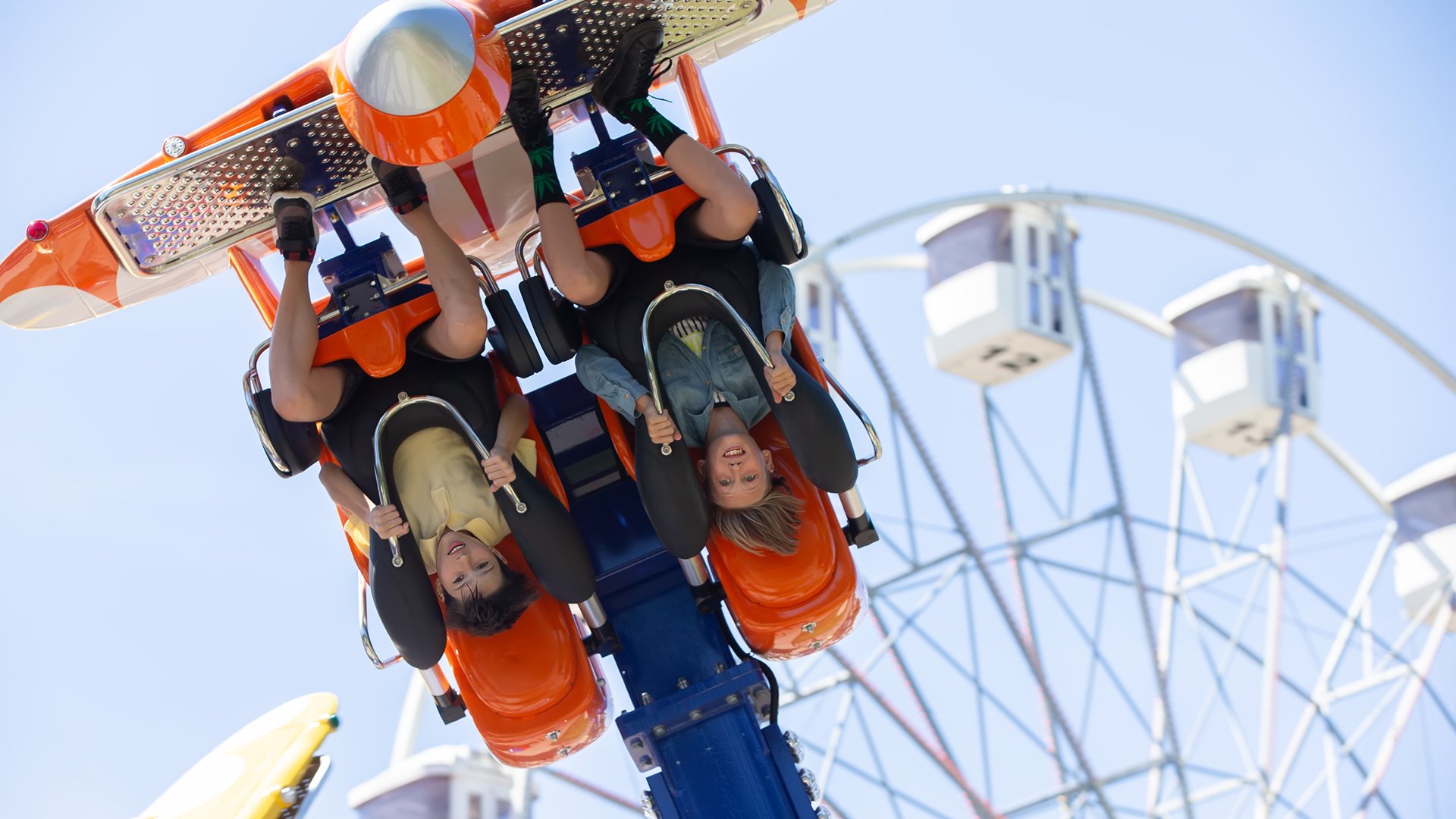 rollercoaster
