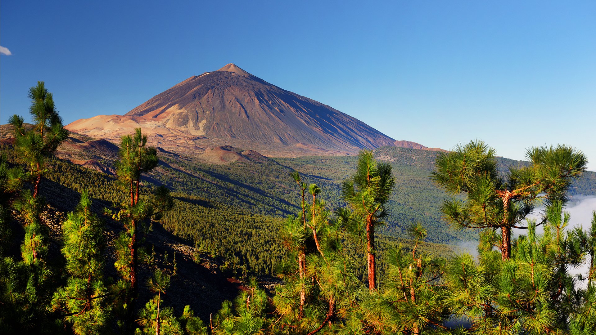 Teide