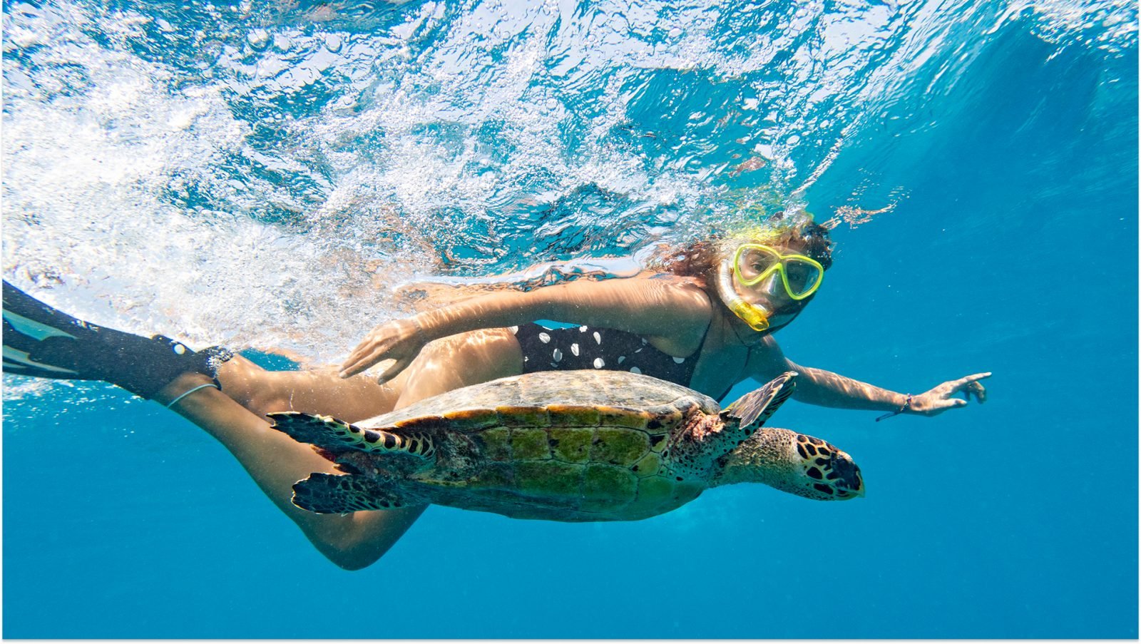 Kobieta snurkująca z żółwiem