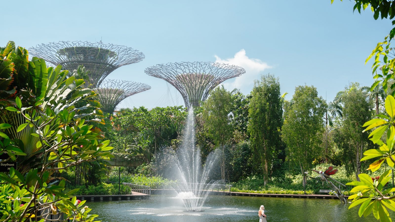 Fontanna w Gardens by the Bay