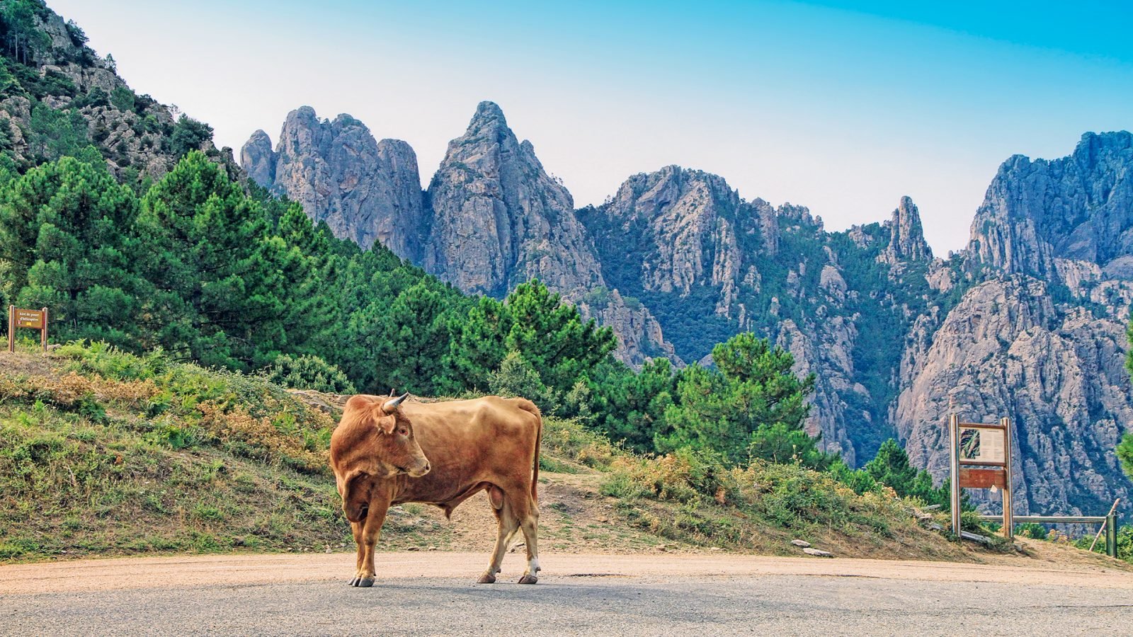 Widok na góry Bavella (Aiguilles de Bavella) na Korsyce, Francja.