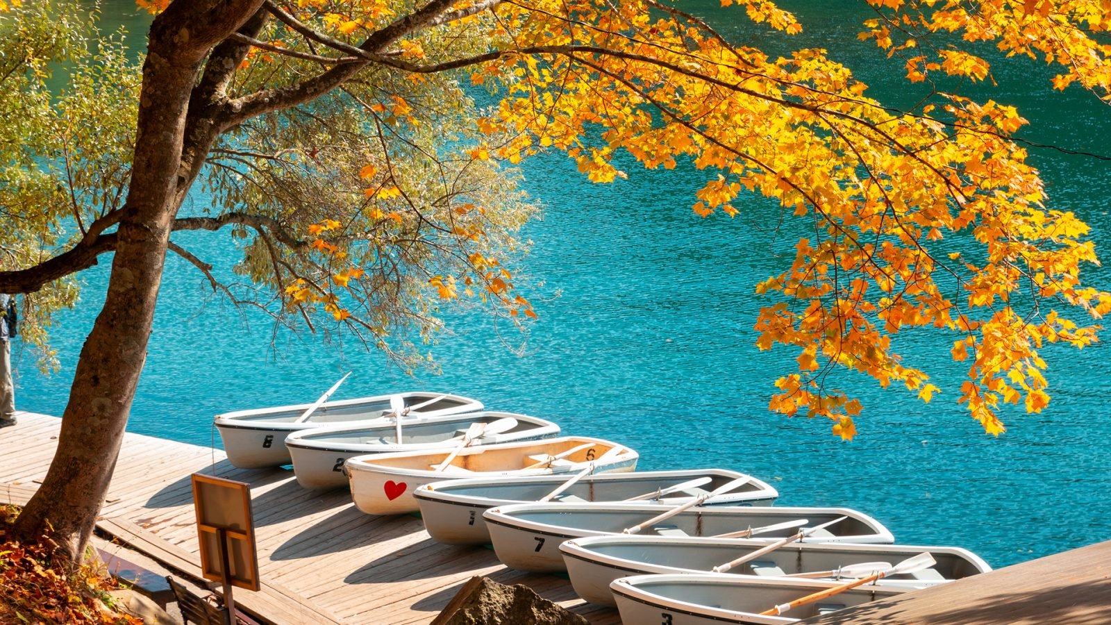 Żywe jesienne kolory (liście) w pięciokolorowym stawie Goshiki-numa. Łódź wiosłowa w porcie, Urabandai, prefektura Fukushima, Japonia