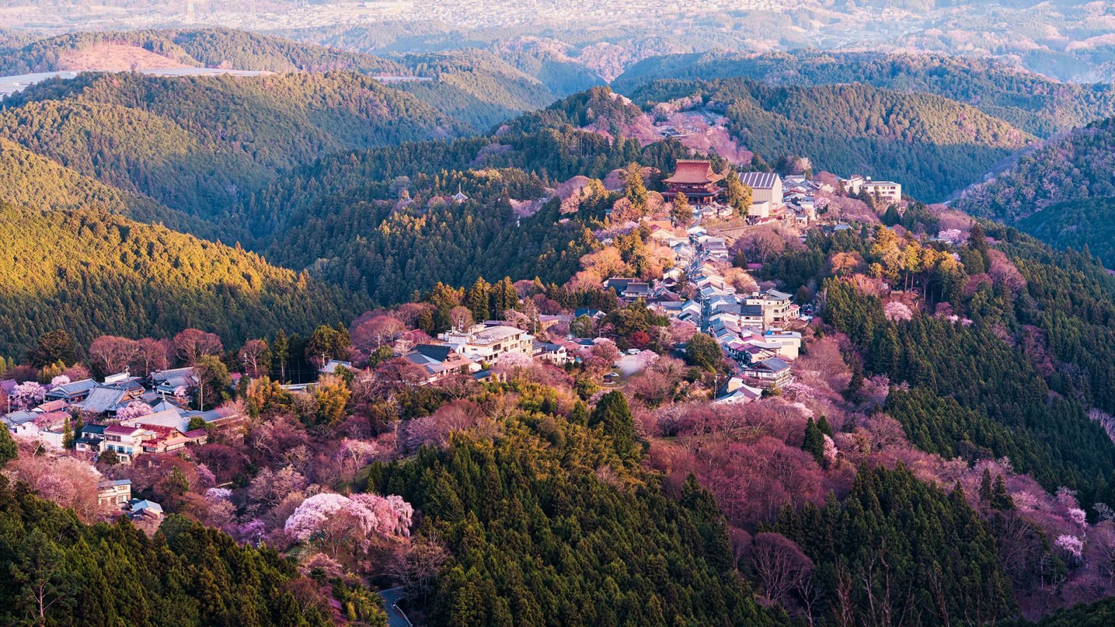 Punkt widokowy na górę Yoshino z tradycyjną wioską wśród kwitnących wiśni i sakury o poranku w Narze w Japonii