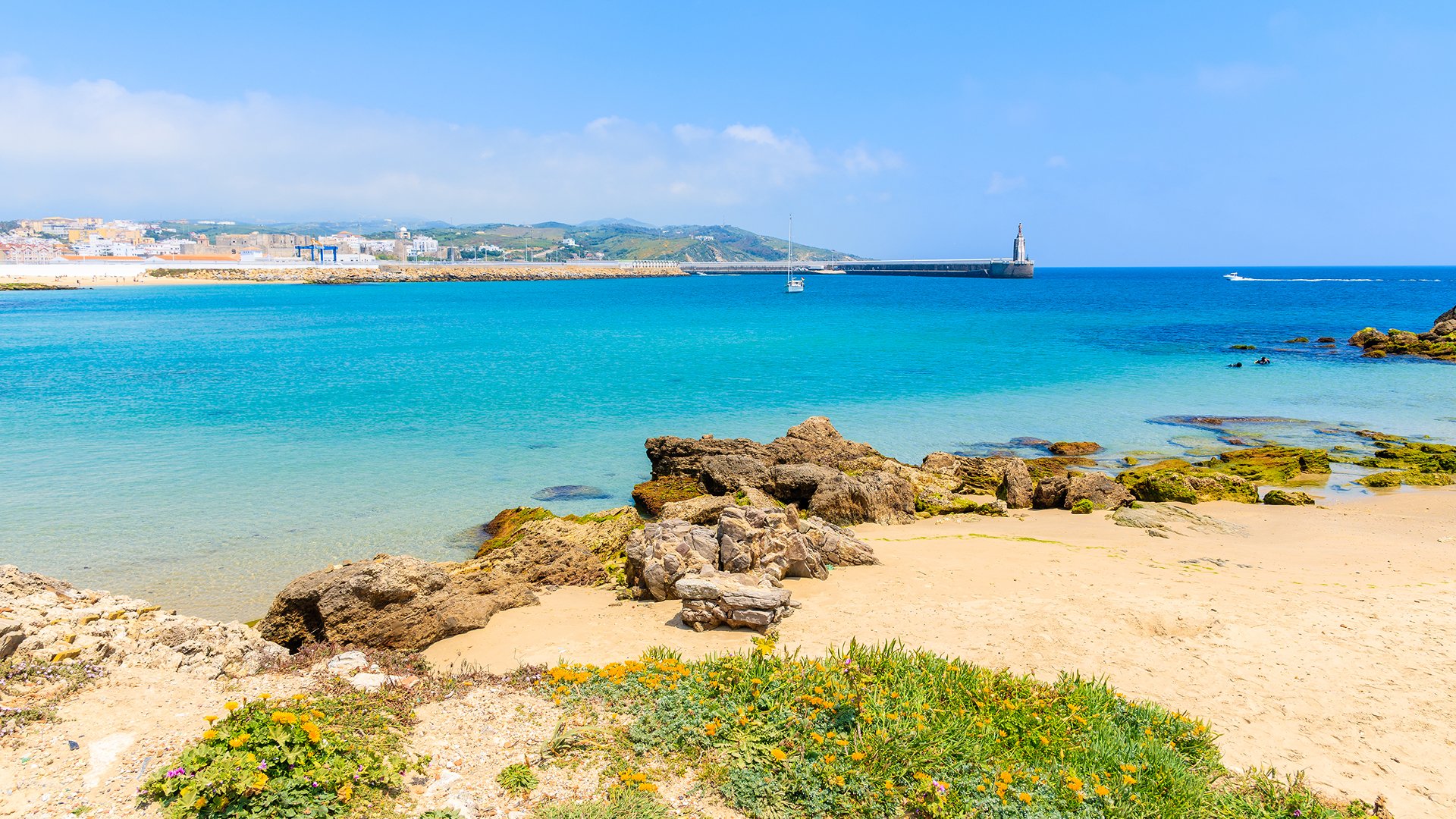 Bolonia