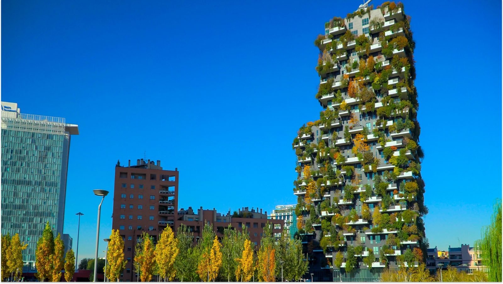 Nowoczesne i ekologiczne wieżowce z jesiennymi drzewami na balkonach. Pionowy Las. Nowoczesna architektura, ogrody wertykalne, tarasy z roślinami. Zielona Planeta. Błękitne niebo. Mediolan, Włochy