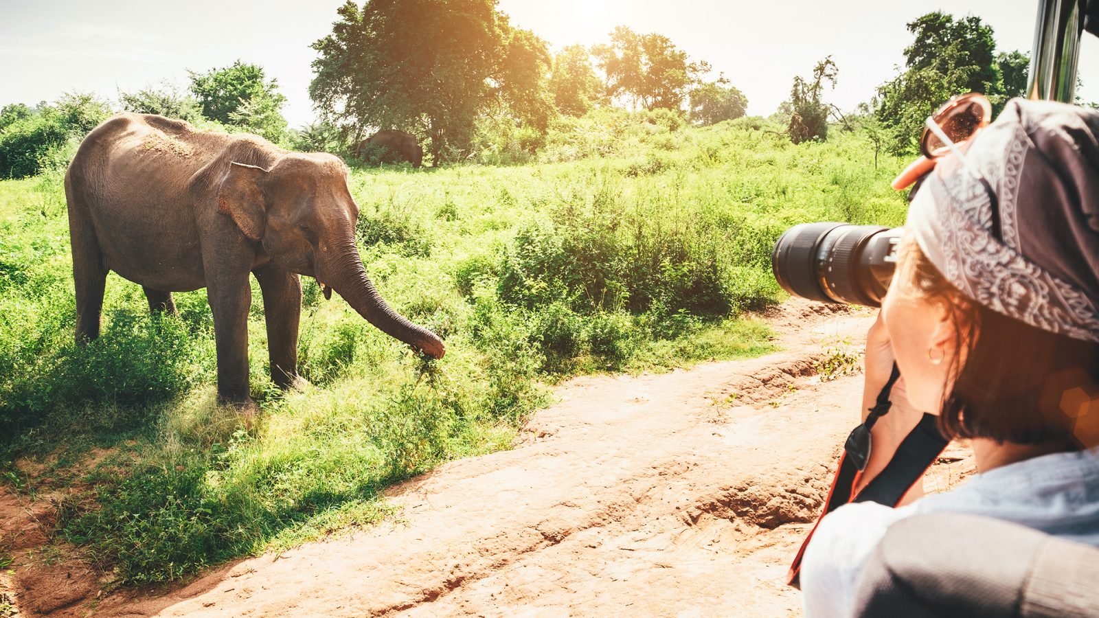 Kobieta fotografująca słonia na Sri Lance