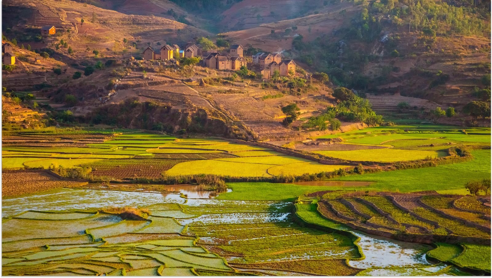 gdzie-na-wakacje-w-grudniu-sprawdz-najlepsze-kierunki-galeria-1