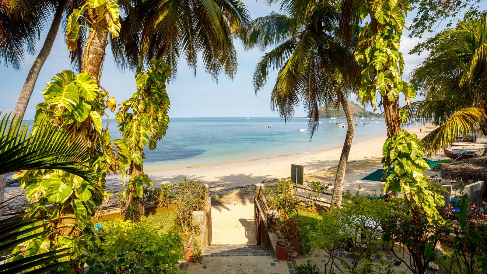Widok na plażę otoczoną roślinami - Madagaskar