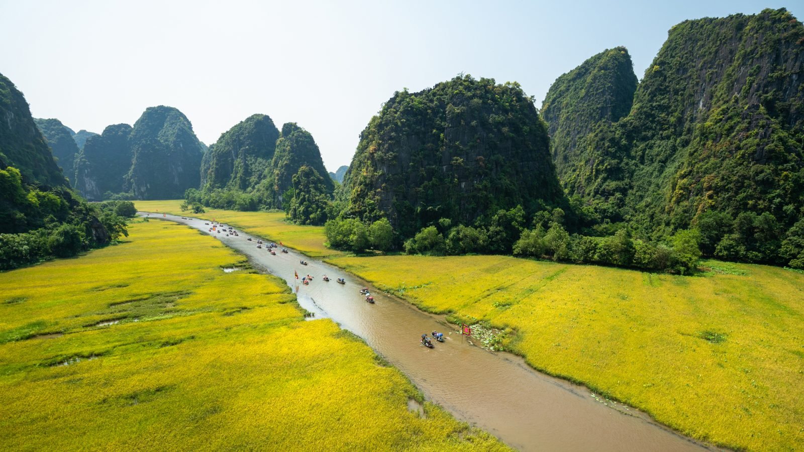 Krajobraz Wietnamu. Pole ryżowe z zakrzywioną rzeką i otaczającymi ją górami w Tam Coc, Ninh Binh