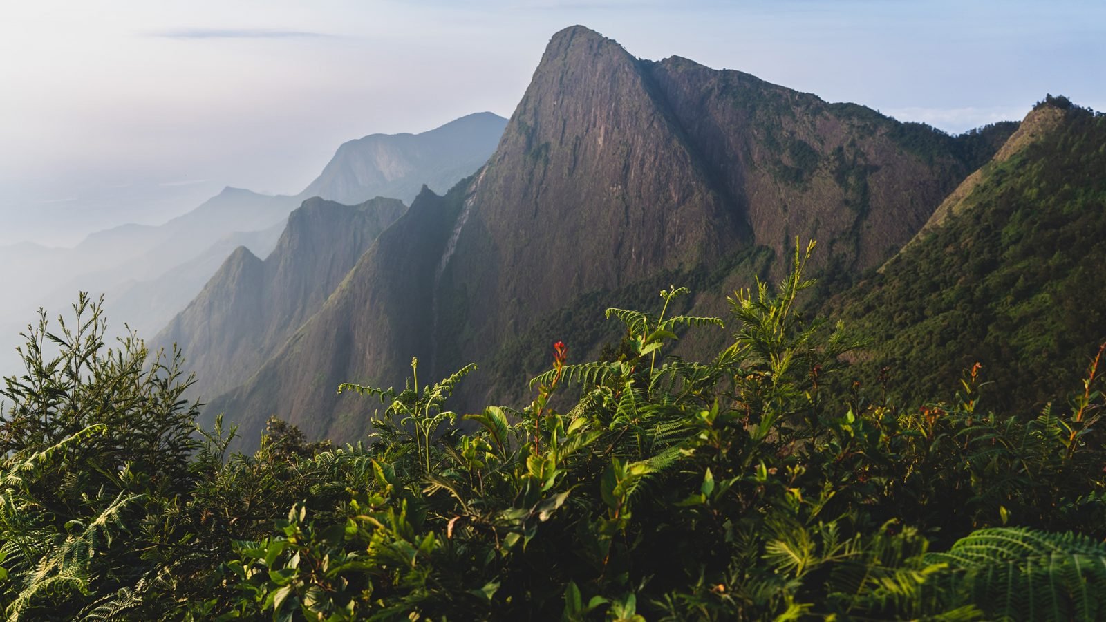 Piękne malownicze zdjęcie skalistego krajobrazu górskiego, wzgórz, zbocza doliny, terenu, tropikalnego lasu deszczowego, roślinności, paproci, błękitnego nieba, Indie.
