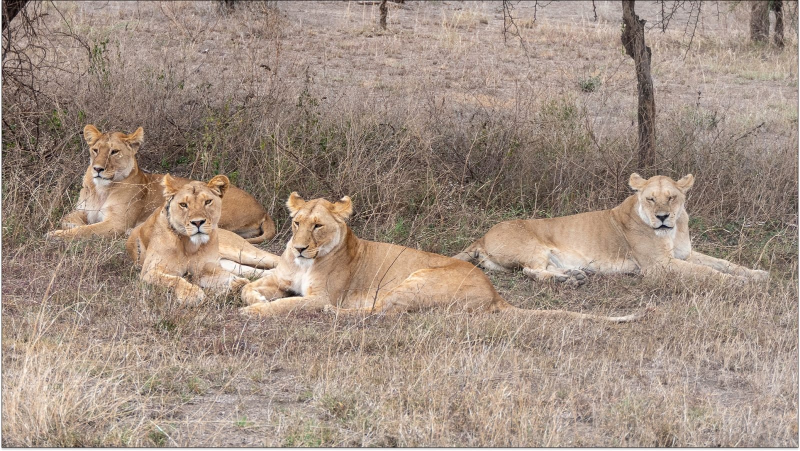 gdzie-na-wakacje-w-pazdzierniku-galeria-1