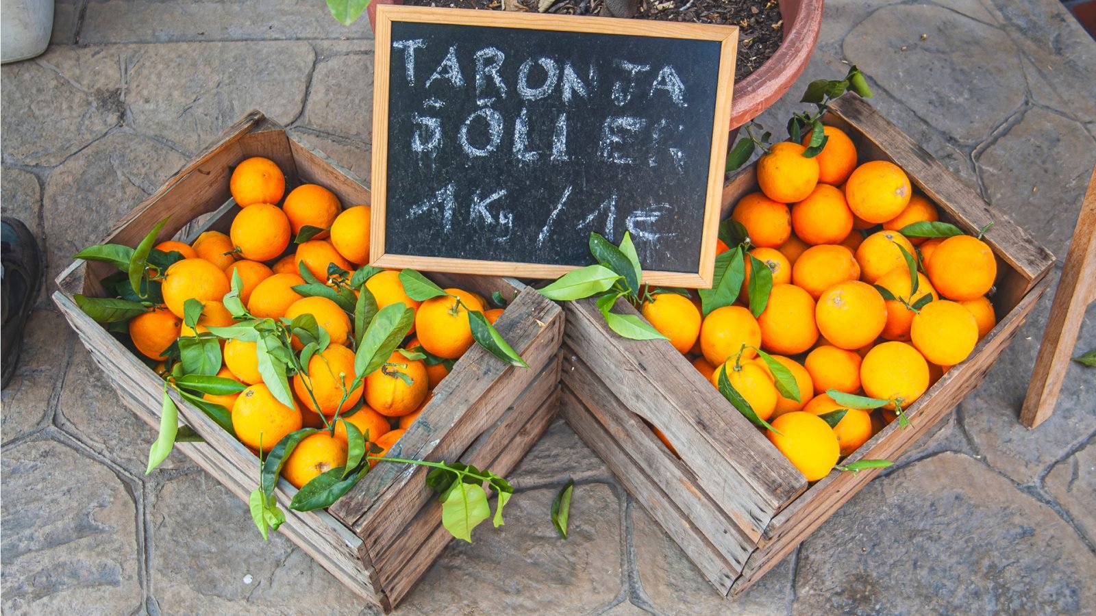 Pomarańcze z Sóller