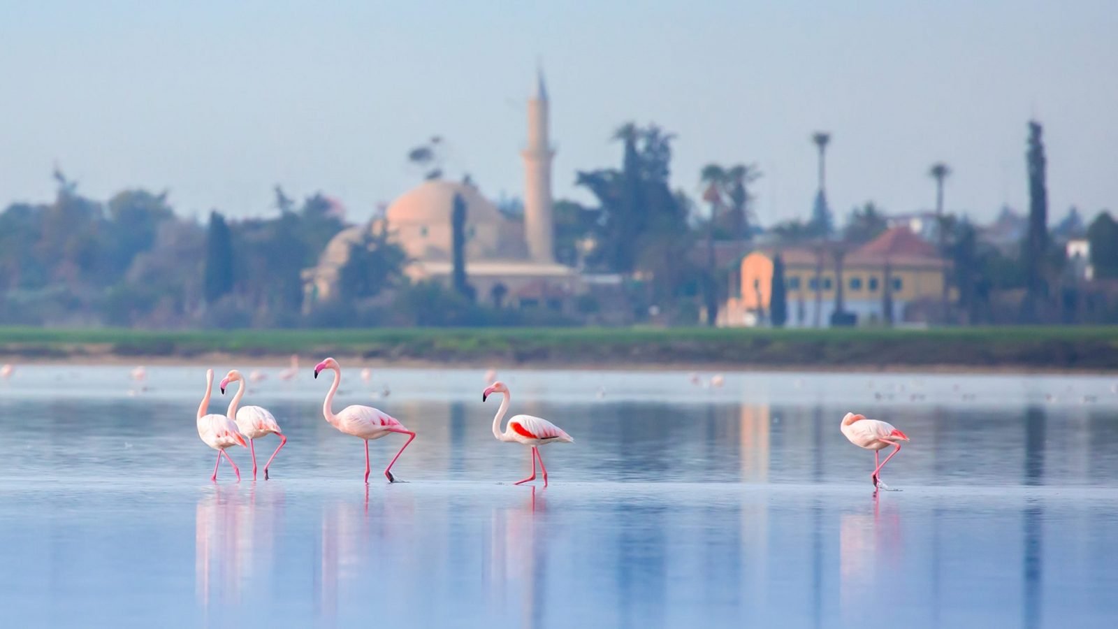 larnaka-poznaj-atrakcje-w-najstarszym-miescie-cypru-galeria-1