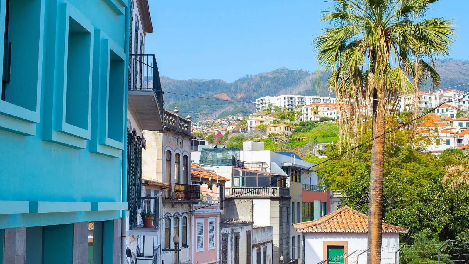 funchal-co-zobaczyc-najciekawsze-atrakcje-stolicy-madery-galeria-1