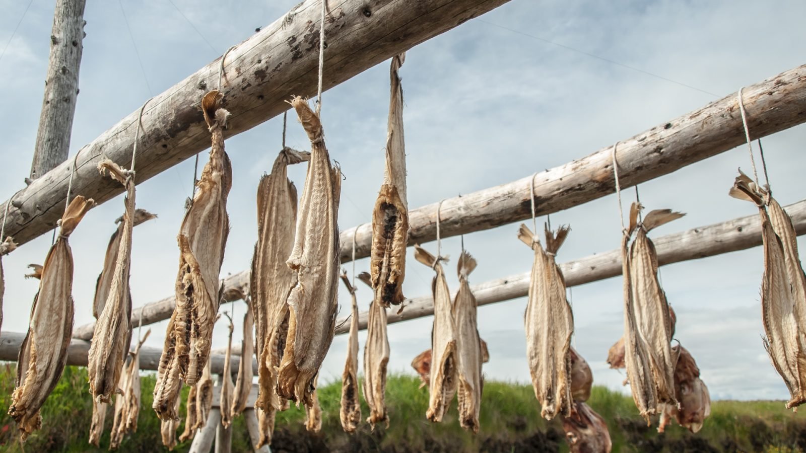 kuchnia-islandzka-co-zjesc-na-islandii-galeria-2