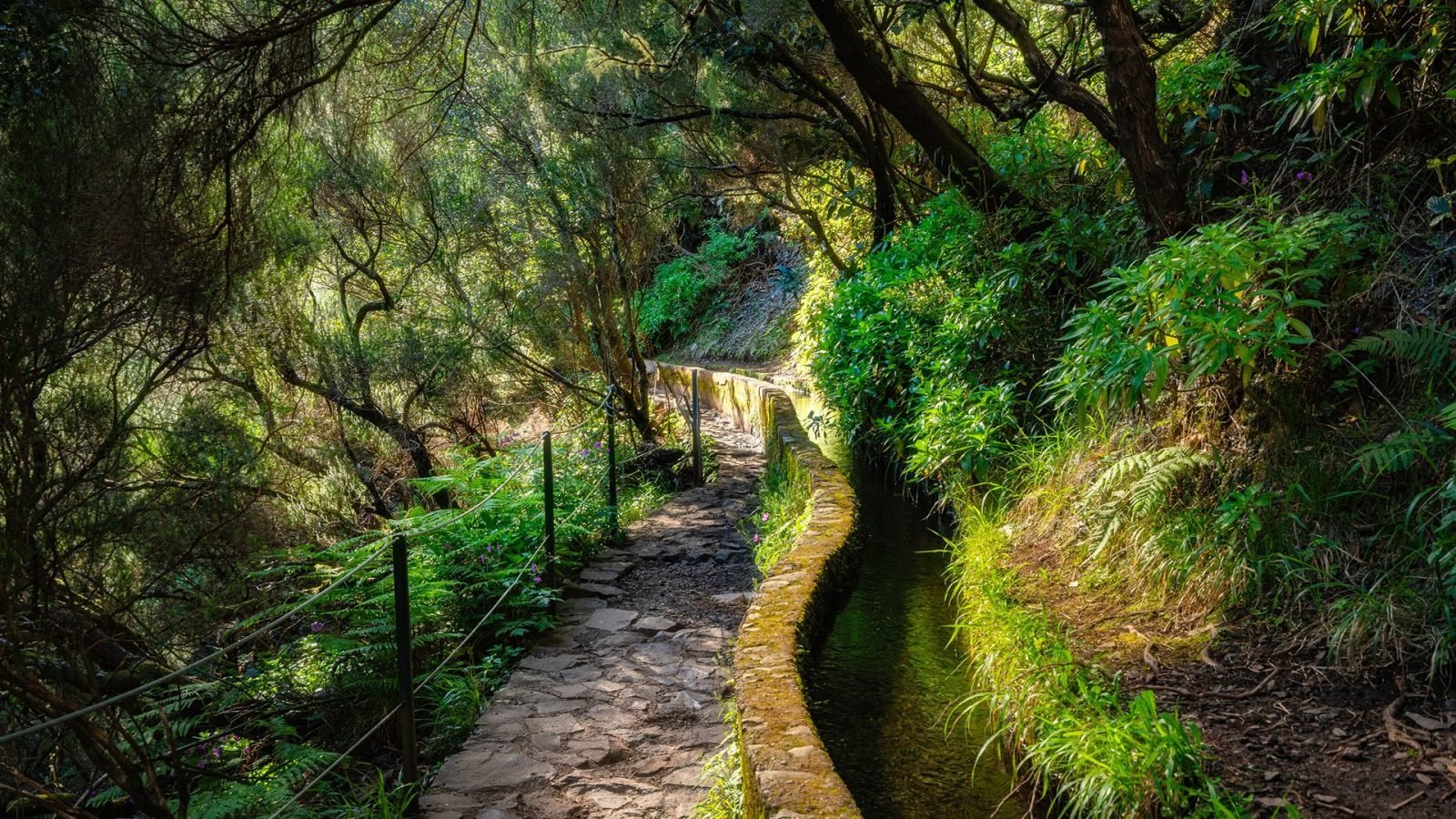 atrakcje-madery-co-zobaczyc-na-wyspie-wiecznej-wiosny-galeria-1