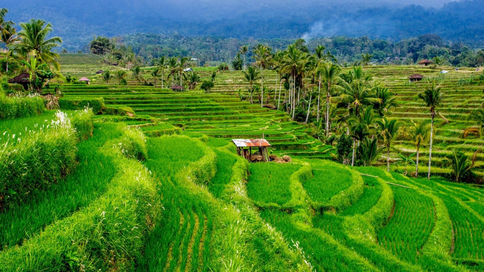 gdzie-na-wakacje-w-lutym-9-najlepszych-kierunkow-na-zimowy-urlop-galeria-1